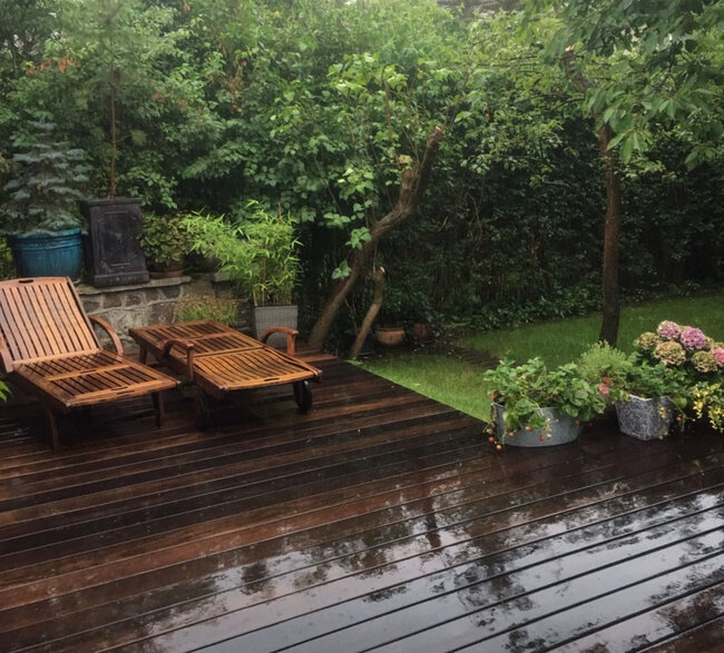 Terrasse en bois humide avec transats et plantes en pots.