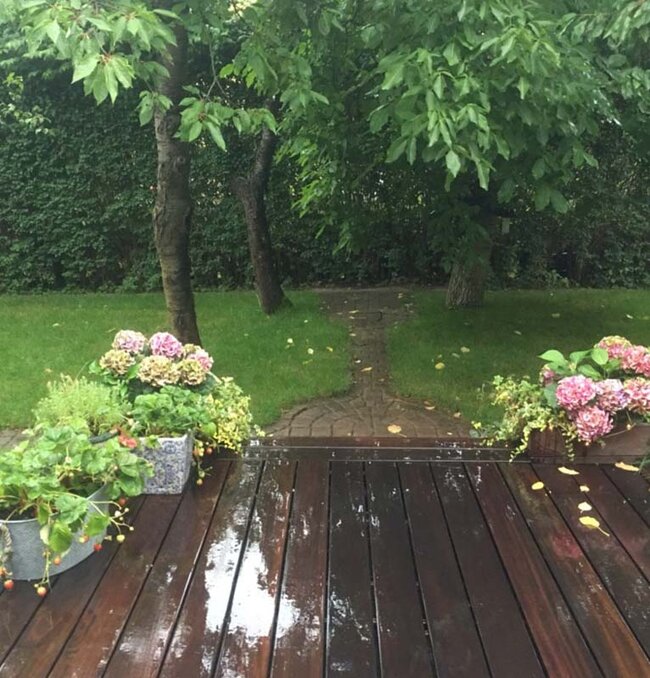 Terrasse en bois humide avec des pots de fleurs et une vue sur le jardin