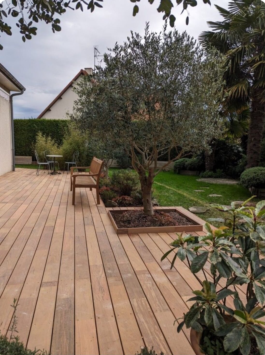 Terrasse en bois dans le jardin avec un olivier.