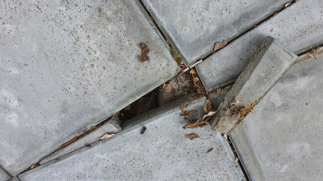 Déplacées et endommagées, les dalles en béton sur la terrasse.