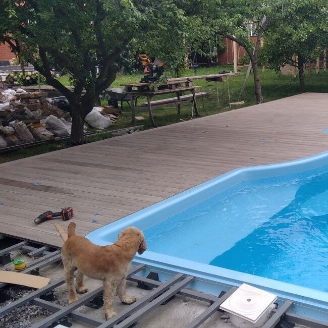 Construction d'une terrasse surélevée autour de la piscine sur plots et lambourdes Raptor avec un chien dans le cadre.